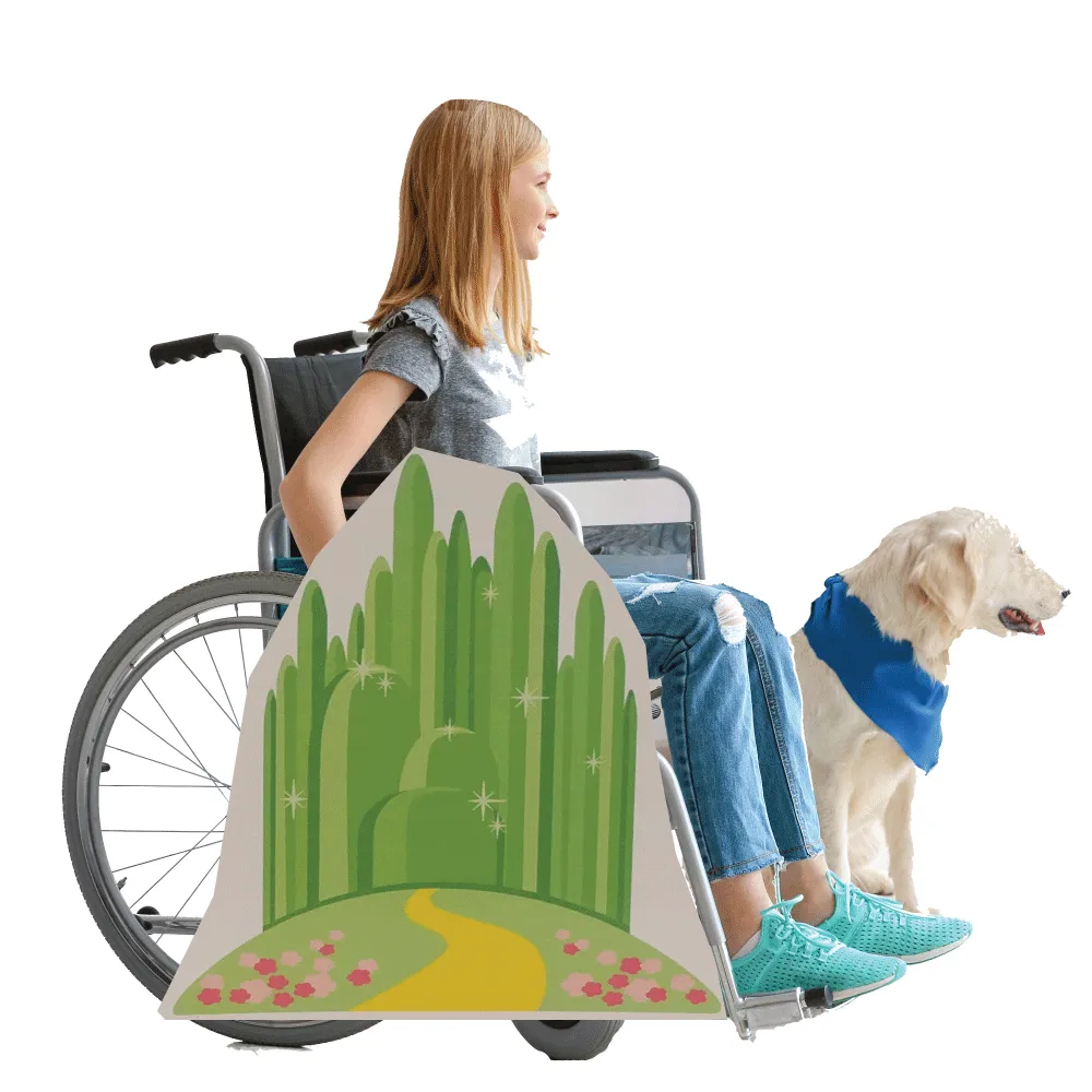 Emerald City and Yellow Brick Road Wheelchair Costume Child's